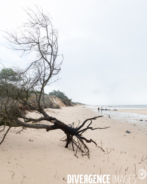Un littoral errode par les tempetes