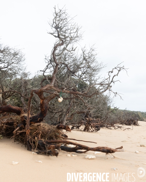 Un littoral errode par les tempetes