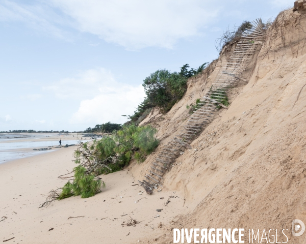 Un littoral errode par les tempetes