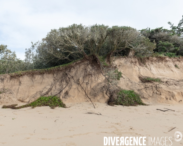 Un littoral errode par les tempetes