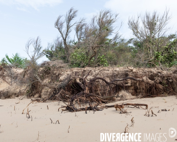 Un littoral errode par les tempetes