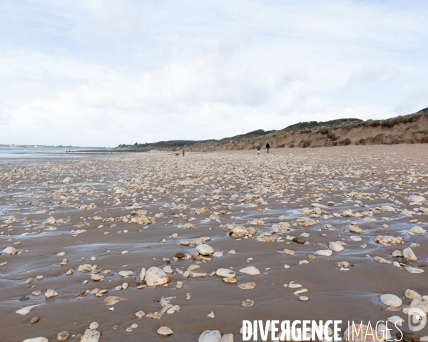 Un littoral errode par les tempetes