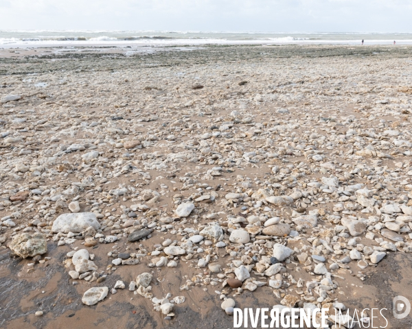 Un littoral errode par les tempetes