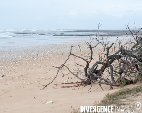 Un littoral errode par les tempetes