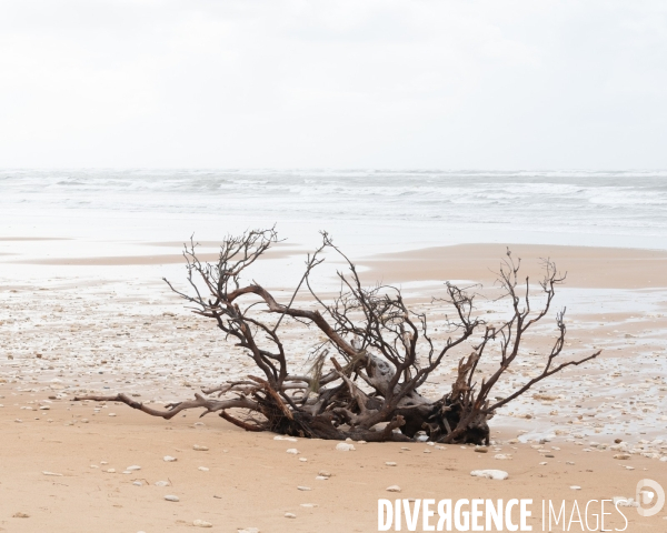 Un littoral errode par les tempetes