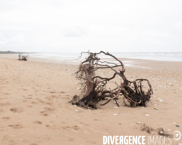Un littoral errode par les tempetes