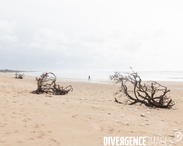 Un littoral errode par les tempetes
