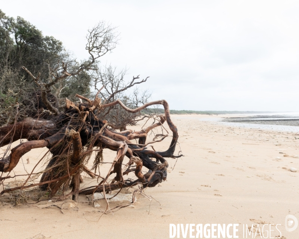 Un littoral errode par les tempetes