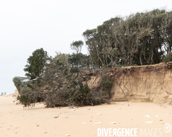 Un littoral errode par les tempetes