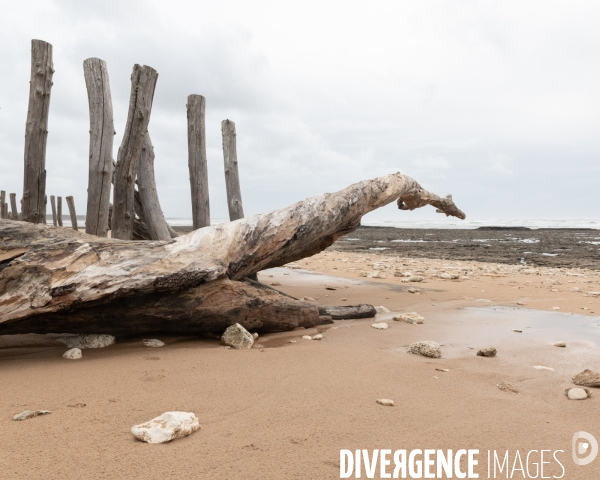 Un littoral errode par les tempetes