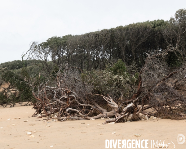 Un littoral errode par les tempetes