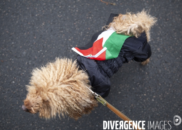 Maniestation en soutien à Gaza.