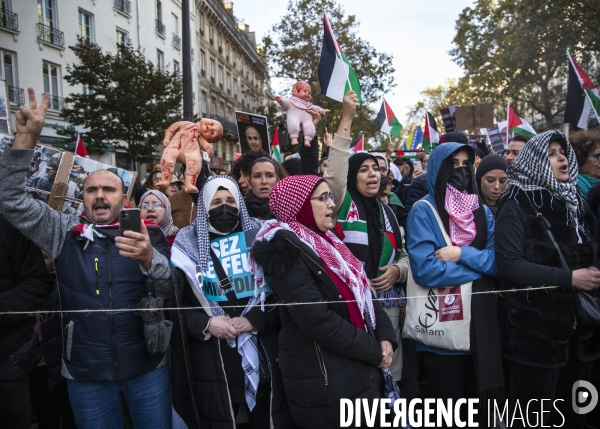 Maniestation en soutien à Gaza.