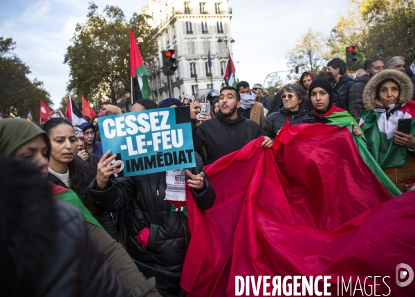 Maniestation en soutien à Gaza.