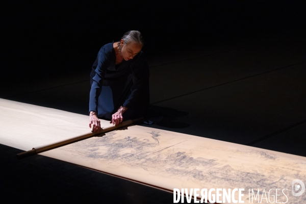 Umwandlung Dialogue avec l absent de Anne Martin,