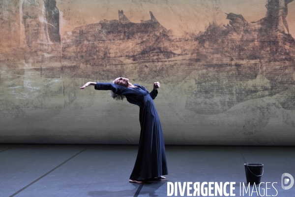 Umwandlung Dialogue avec l absent de Anne Martin,