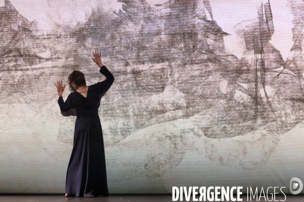 Umwandlung Dialogue avec l absent de Anne Martin,