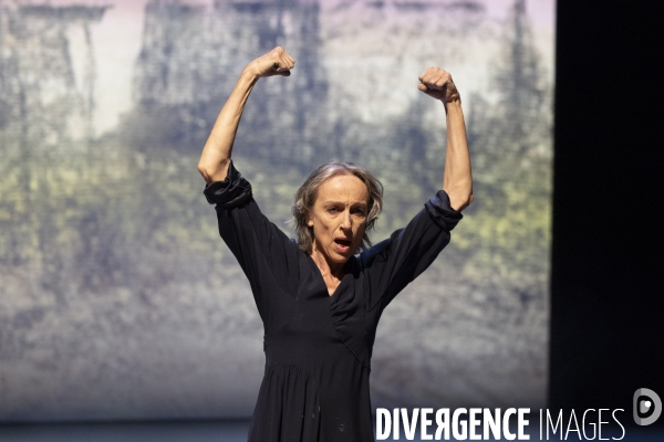 Umwandlung Dialogue avec l absent de Anne Martin,