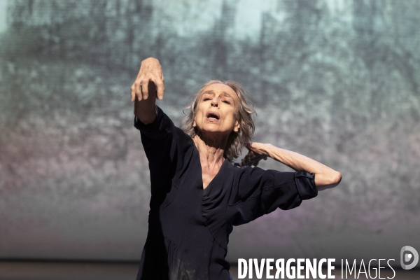 Umwandlung Dialogue avec l absent de Anne Martin,