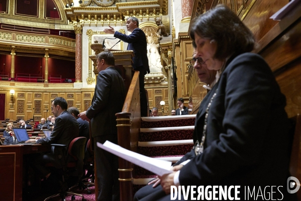 Loi immigration au Sénat