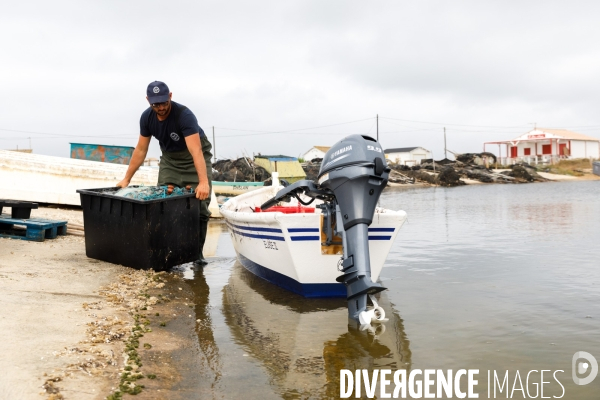 Pêche artisanale sur l étang de l Ayrolle