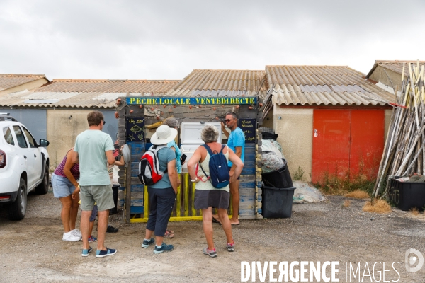 Pêche artisanale sur l étang de l Ayrolle