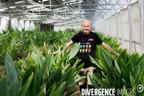 Serres tropicales en Occitanie