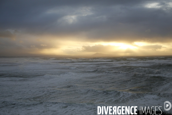 Vagues au Pays Basque