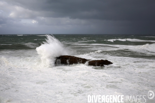 Vagues au Pays Basque