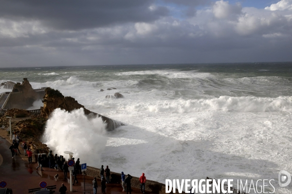 Vagues au Pays Basque