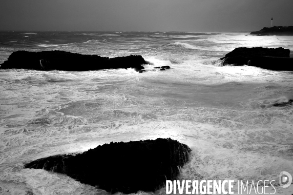 Vagues au Pays Basque