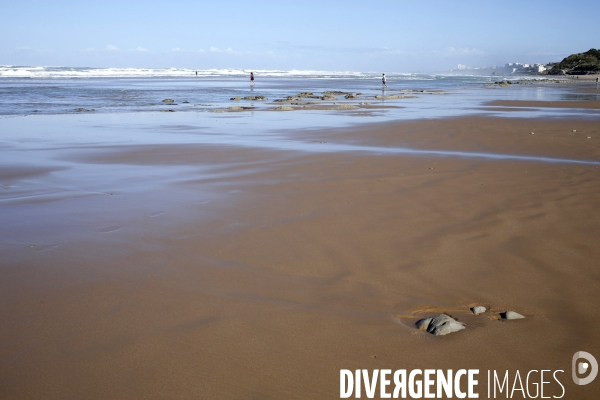Vagues au Pays Basque