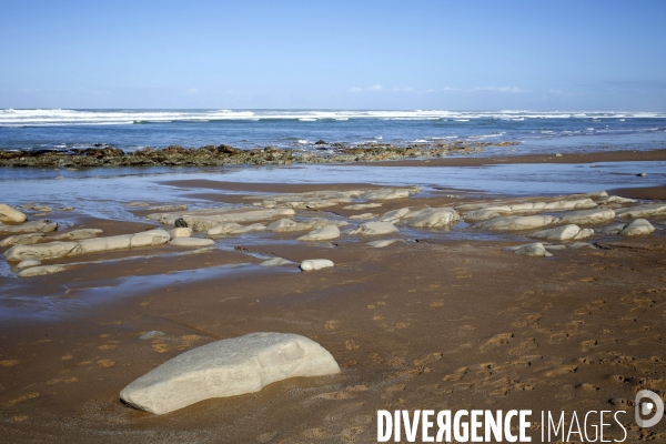 Vagues au Pays Basque