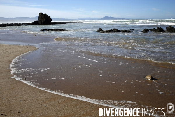 Vagues au Pays Basque