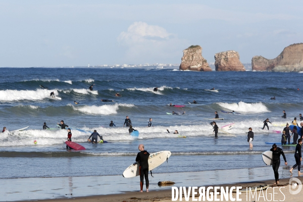 Surf au Pays Basque