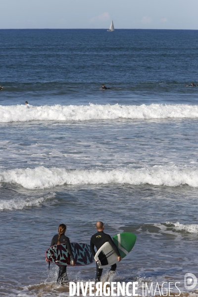 Surf au Pays Basque