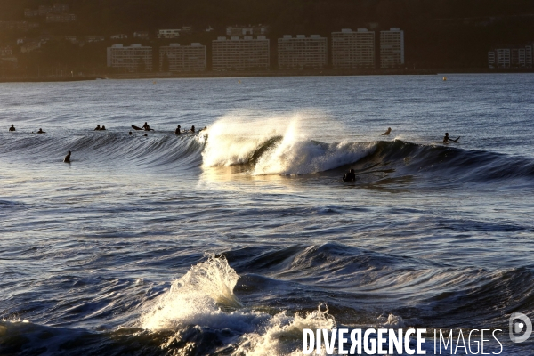 Surf au Pays Basque