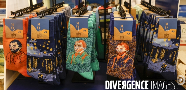 Exposition  van gogh a auvers sur oise au musee d orsay