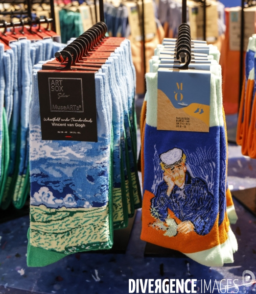 Exposition  van gogh a auvers sur oise au musee d orsay