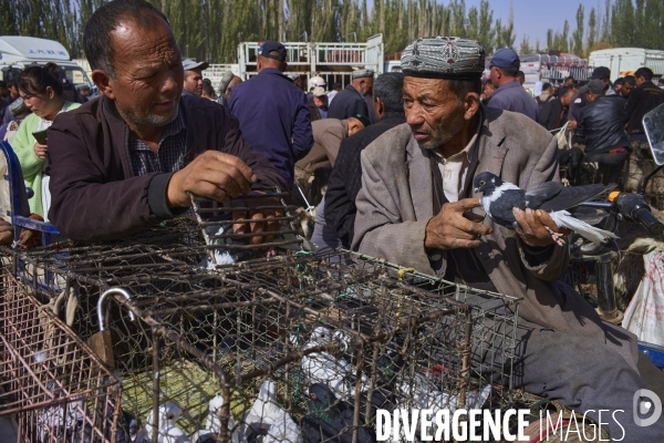 Le Xinjiang, paradis touristique.