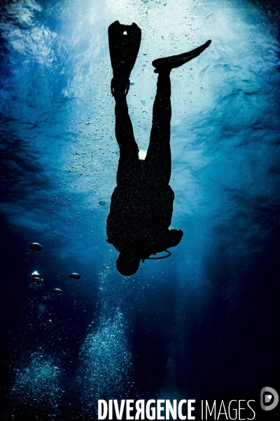 Blue Inside