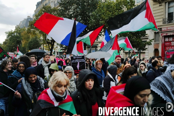 Manifestation pour la Palestine