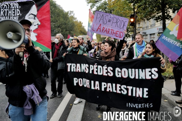 Manifestation pour la Palestine