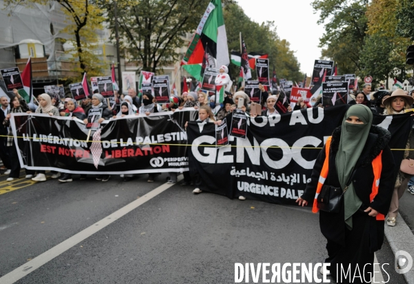 Manifestation pour la Palestine