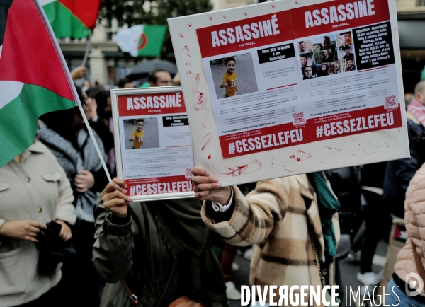 Manifestation pour la Palestine