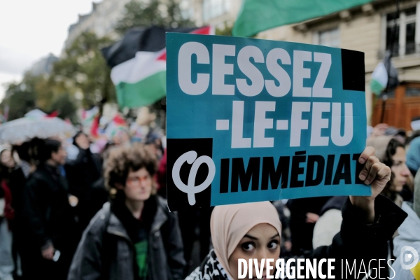 Manifestation pour la Palestine