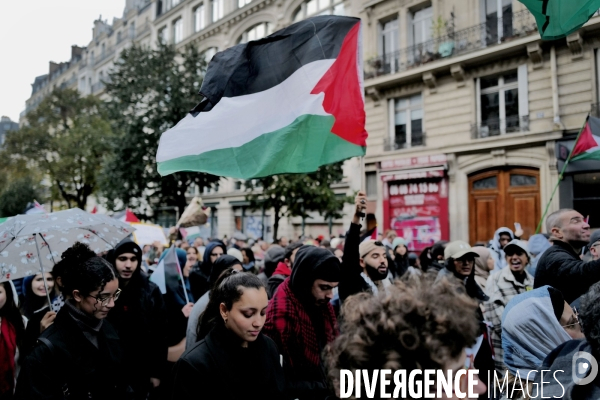Manifestation pour la Palestine