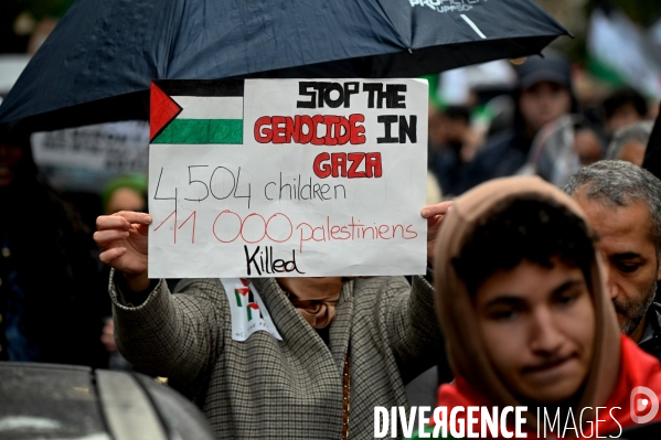 Manifestation pour la Palestine