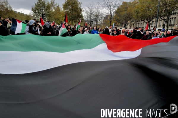 Manifestation pour la Palestine