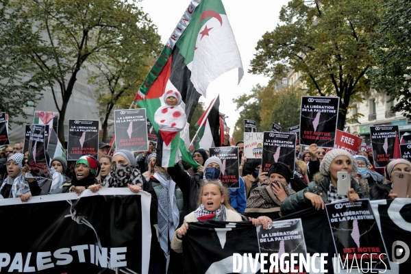 Manifestation pour la Palestine